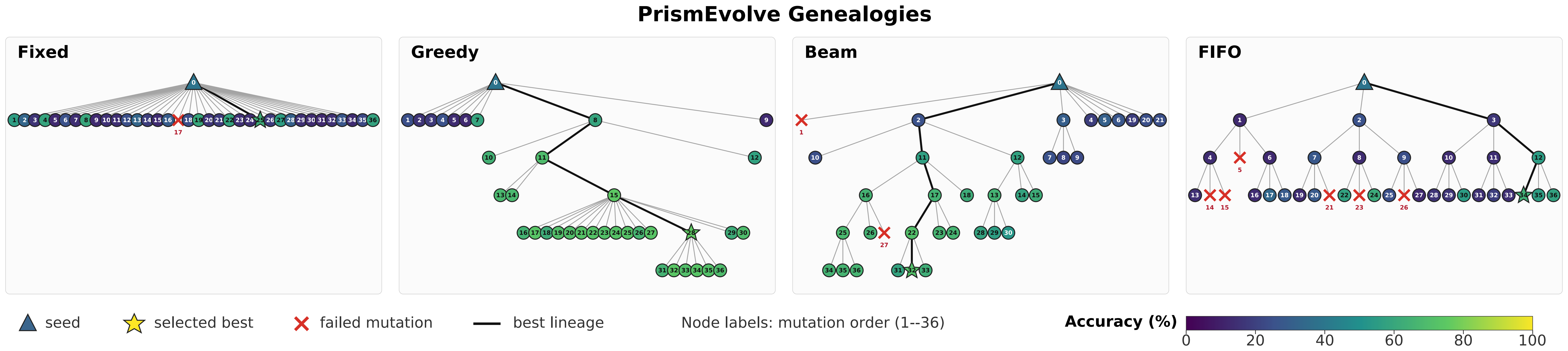 Program genealogies for Fixed, Greedy, Beam, and FIFO search policies